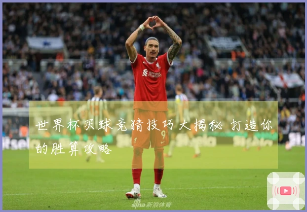 世界杯买球竞猜技巧大揭秘 打造你的胜算攻略