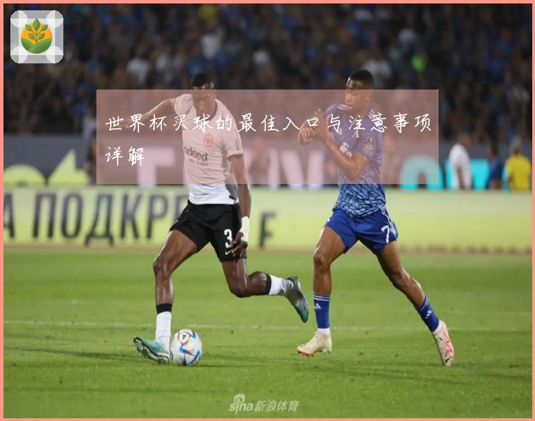 世界杯买球的最佳入口与注意事项详解