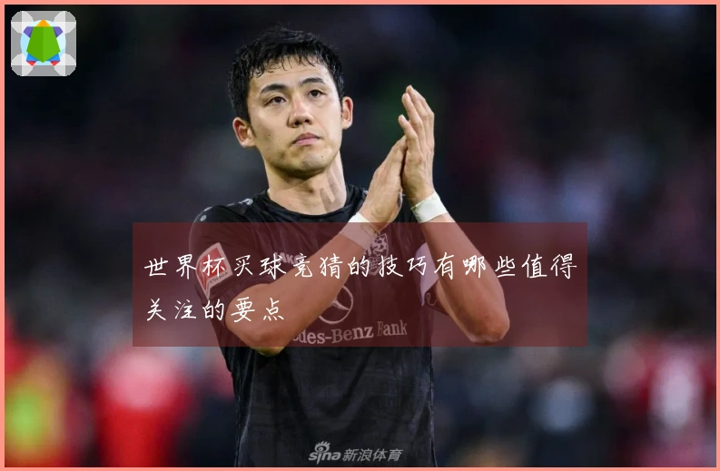 世界杯买球竞猜的技巧有哪些值得关注的要点