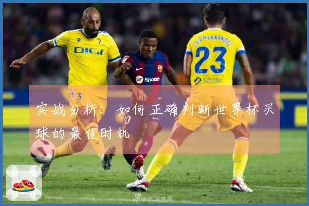 实战分析：如何正确判断世界杯买球的最佳时机