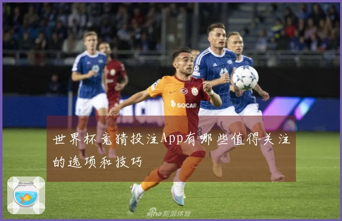 世界杯竞猜投注App有哪些值得关注的选项和技巧