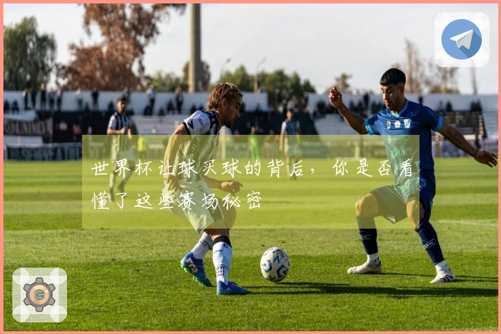 世界杯让球买球的背后，你是否看懂了这些赛场秘密