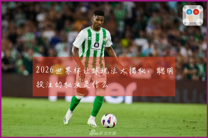 2026世界杯让球玩法大揭秘，聪明投注的秘诀是什么
