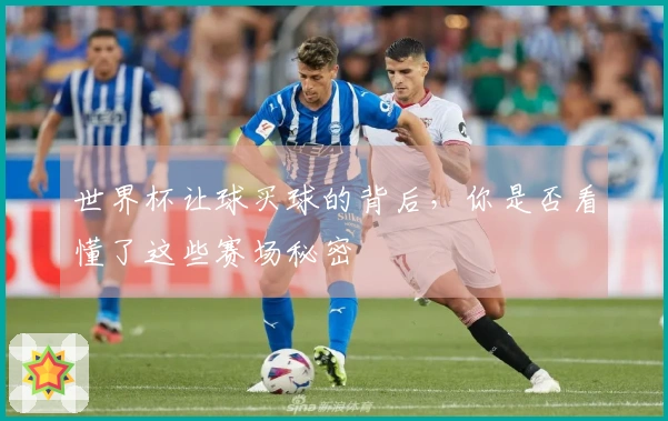 世界杯让球买球的背后，你是否看懂了这些赛场秘密
