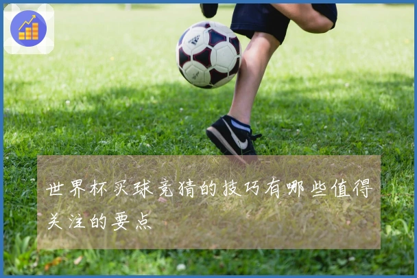 世界杯买球竞猜的技巧有哪些值得关注的要点