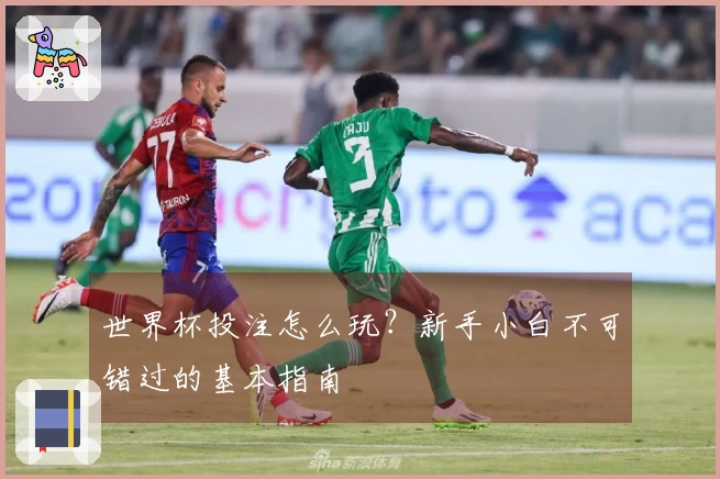 世界杯投注怎么玩？新手小白不可错过的基本指南