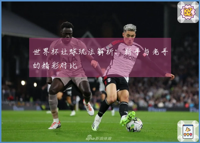 世界杯让球玩法解析：新手与老手的精彩对比